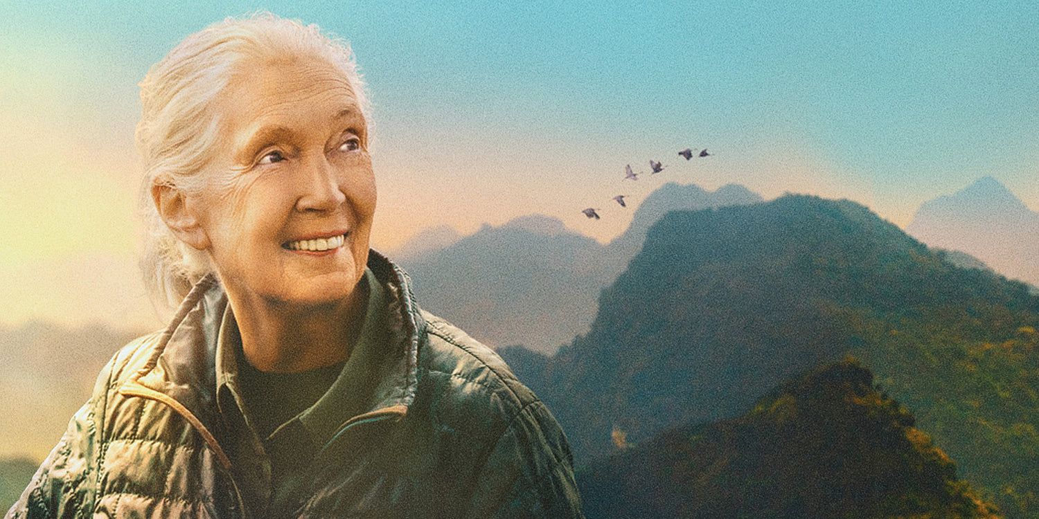 Filmtip: Jane Goodall - Reasons for Hope - Museon Omniversum